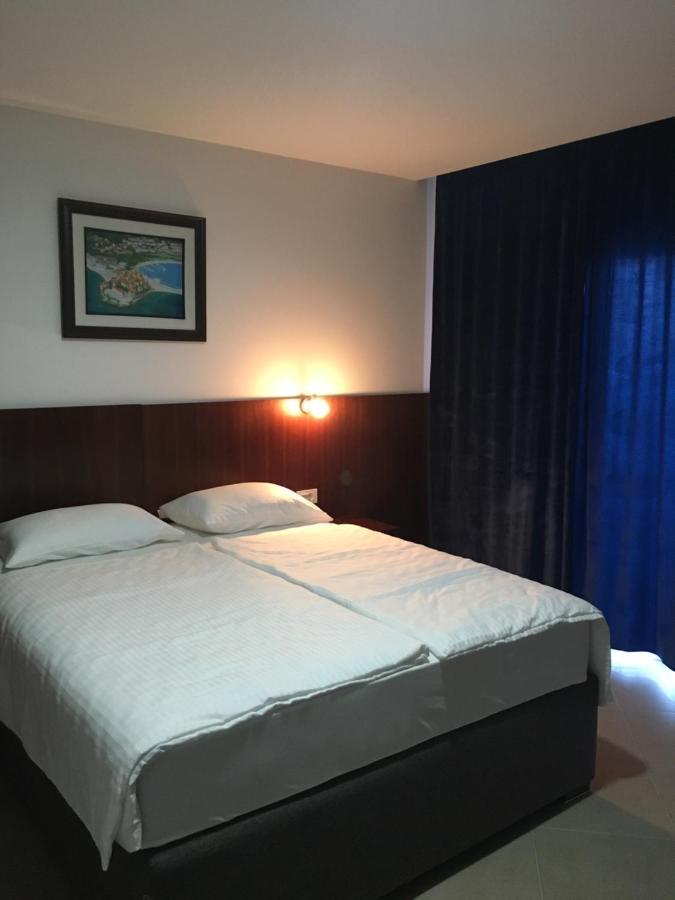 Hotel Vienna تْشيرسيك نوفي المظهر الخارجي الصورة